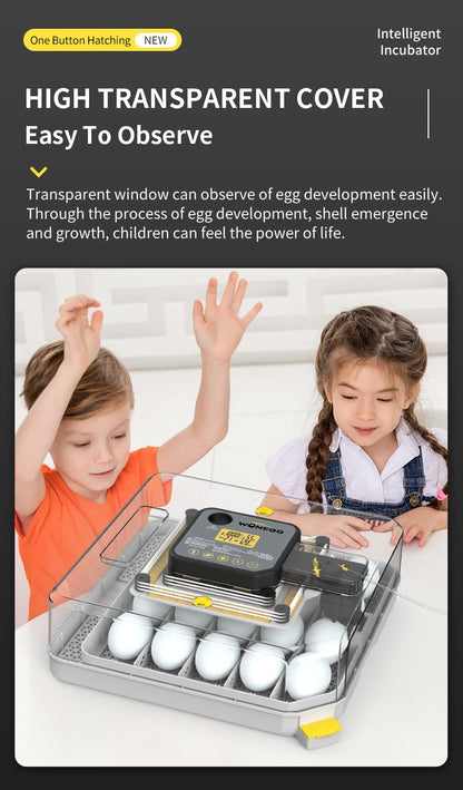 Transparent viewing cover showing kids monitoring hatching process