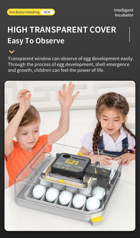 Transparent viewing cover showing kids monitoring hatching process