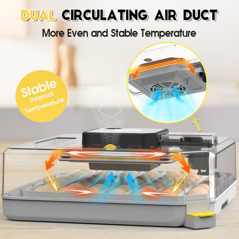 Circulating air duct visual showing even airflow in 48-egg incubator