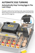 Side view of automatic egg turning system with day-4 lock timer