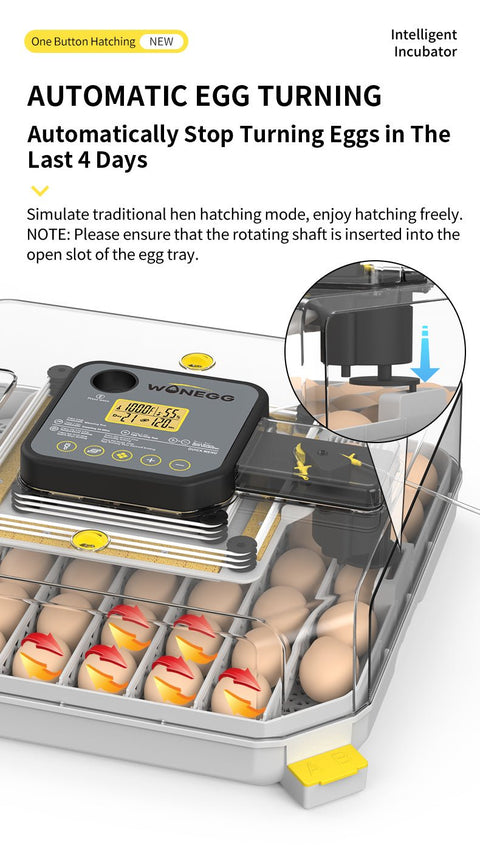 Side view of automatic egg turning system with day-4 lock timer