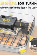 Display of egg turning feature with automatic stop during hatching phase