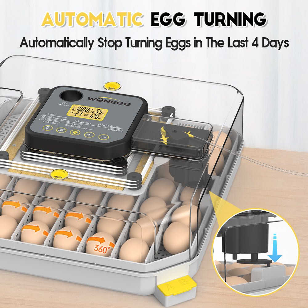 Display of egg turning feature with automatic stop during hatching phase