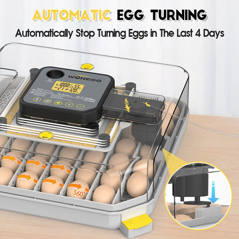 Display of egg turning feature with automatic stop during hatching phase