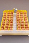 48 EGG DIGITAL INCUBATOR HATCHER CHICKEN POULTRY - with | Sold by Uncle Wiener's Wholesale