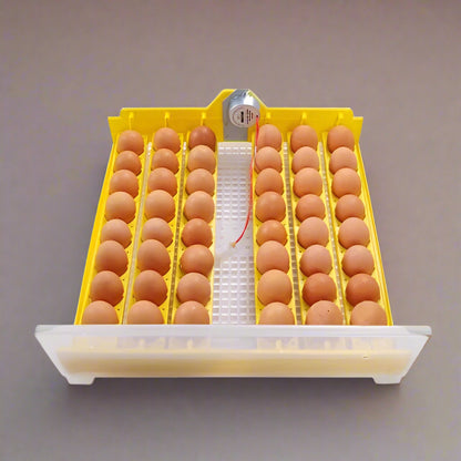 48 EGG DIGITAL INCUBATOR HATCHER CHICKEN POULTRY - with | Sold by Uncle Wiener's Wholesale