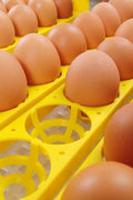 48 EGG DIGITAL INCUBATOR HATCHER CHICKEN POULTRY - with | Sold by Uncle Wiener's Wholesale