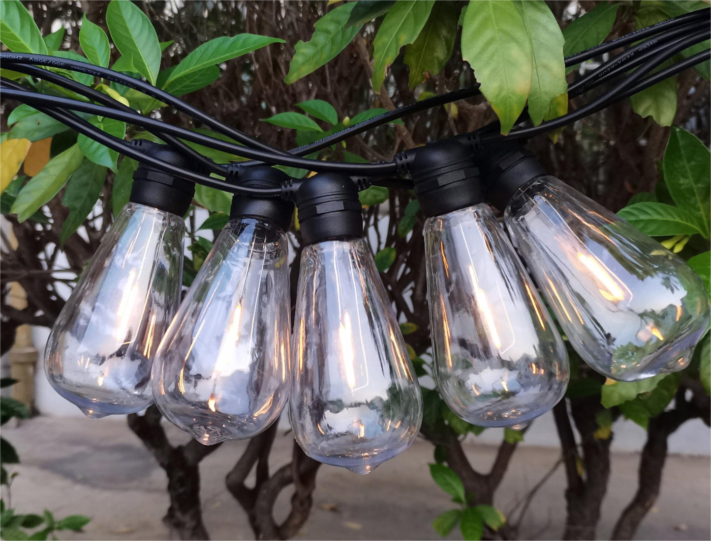 48ft string lights with ST64 bulbs for patio use
Clear warm white bulb string lights for outdoor events
Waterproof garden lights with durable plug-in string
Decorative outdoor LED lights for backyard