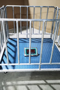 4x4 FT digital floor scale with steel checkered platform

Industrial-grade wired floor scale with LCD display

Heavy-duty 10,000 LB capacity scale with digital indicator

Digital floor scale used for freight weighing

Close-up of steel plate and load cell feet on floor scale