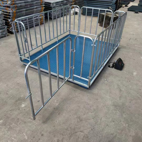 4x4 FT digital floor scale with steel checkered platform

Industrial-grade wired floor scale with LCD display

Heavy-duty 10,000 LB capacity scale with digital indicator

Digital floor scale used for freight weighing

Close-up of steel plate and load cell feet on floor scale