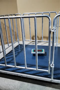 4x4 FT digital floor scale with steel checkered platform

Industrial-grade wired floor scale with LCD display

Heavy-duty 10,000 LB capacity scale with digital indicator

Digital floor scale used for freight weighing

Close-up of steel plate and load cell feet on floor scale