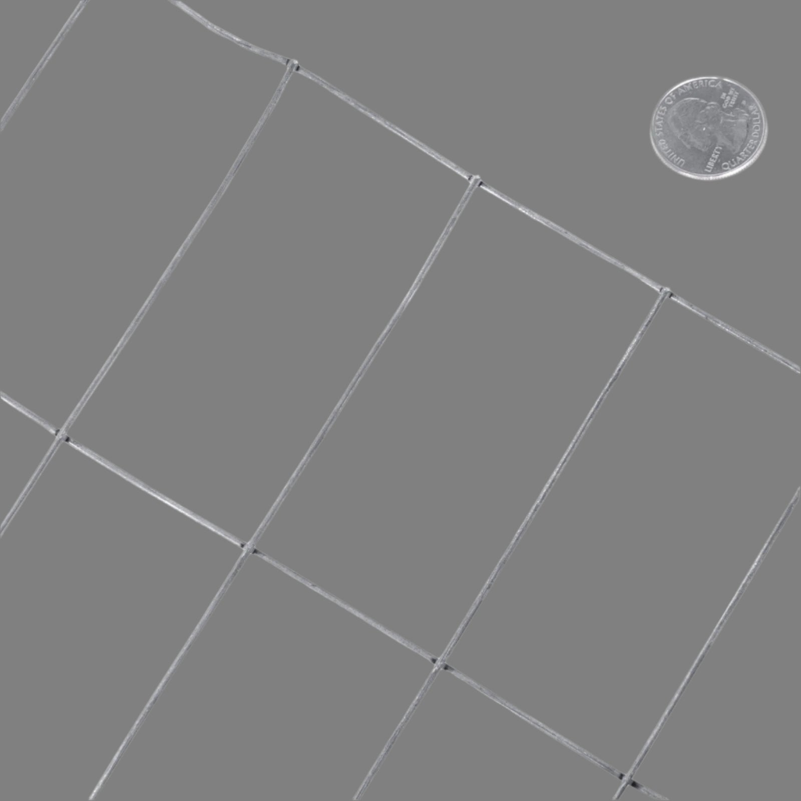 Wide shot of the 5 ft x 100 ft welded wire roll standing vertically

Close-up of 2x4 mesh pattern

Wire mesh showing galvanized finish detail

Fence installed along a garden perimeter