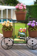 NEW 6 Tier Flower Pot Plant Holder &amp; Garden Cart Display Rack XY375C - with | Sold by Uncle Wiener's Wholesale