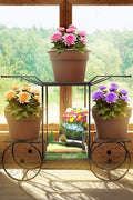 NEW 6 Tier Flower Pot Plant Holder &amp; Garden Cart Display Rack XY375C - with | Sold by Uncle Wiener's Wholesale