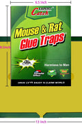 NEW 8 Pack Hovex Large Size Glue Trap Mouse & Rat 672367 - with | Sold by Uncle Wiener's Wholesale