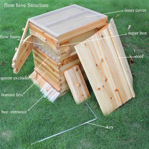Flow Hive Langstroth Bee Hive with 7 Auto Frames - Front View

Wooden Bee Hive with Honey Flow System

Auto Flow Frames for Easy Honey Extraction

Top View of 2-Layer Langstroth Bee Hive

Honey Collection from Flow Hive Auto Frames

Disassembled View of Bee Hive Kit Components

Wooden Hive Box with Automatic Frames

Honey Frame Close-Up for Flow Extraction