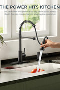 New Black Faucet Pull Down Sprayer Kitchen Sink – Matte Stainless Steel | SKU: 830556 - with | Sold by Uncle Wiener's Wholesale