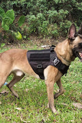 New Black Tactical Dog Harness & Leash Set – No - Pull, Adjustable K9 Vest with Handle & Molle System - with Medium | Sold by Uncle Wiener's Wholesale