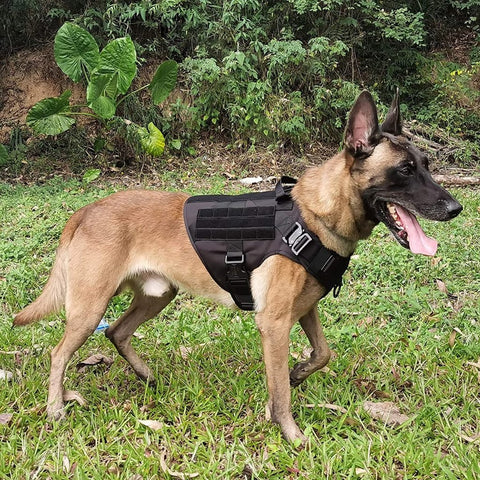 New Black Tactical Dog Harness & Leash Set – No - Pull, Adjustable K9 Vest with Handle & Molle System - with Medium | Sold by Uncle Wiener's Wholesale