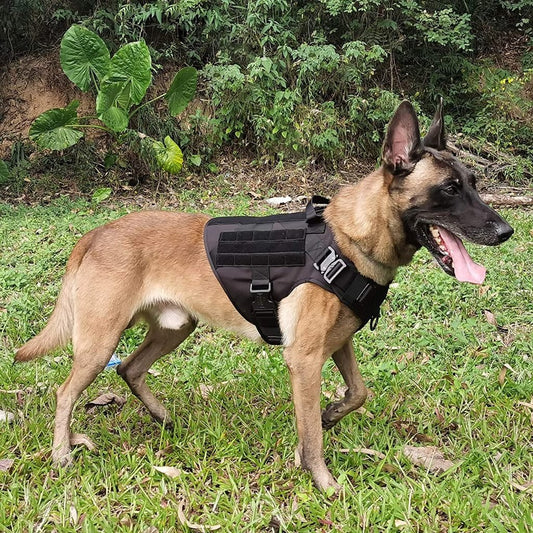 New Black Tactical Dog Harness & Leash Set – No - Pull, Adjustable K9 Vest with Handle & Molle System - with Medium | Sold by Uncle Wiener's Wholesale