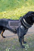 New Black Tactical Dog Harness & Leash Set – No - Pull, Adjustable K9 Vest with Handle & Molle System - with Large | Sold by Uncle Wiener's Wholesale