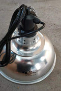 NEW Brooder Heat Lamp & Reflector - 275W & 575W Options! - with | Sold by Uncle Wiener's Wholesale