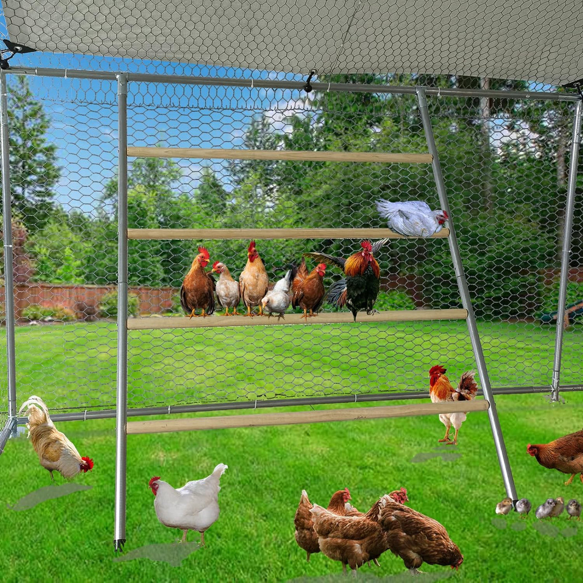 Local Poutry Ladder New Chicken Coop Perch Roosting Ladder – Durable Wooden Ladder for Pou ...