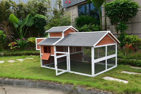 Large wooden chicken coop with waterproof roof and outdoor run for backyard poultry