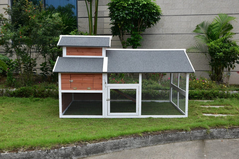 Large nesting box with easy-access lift-up roof for backyard chickens
