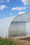 Clear greenhouse film covering the hoop house
Heavy-duty 8 mil polyethylene film for greenhouse
UV stabilized clear poly greenhouse plastic cover
Greenhouse with clear plastic poly sheeting installed