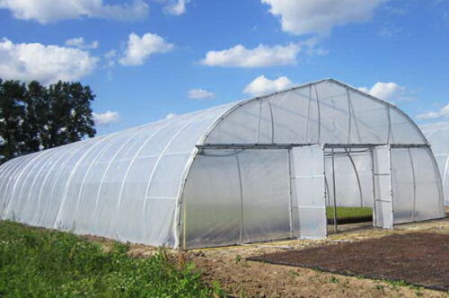 Clear greenhouse film covering the hoop house
Heavy-duty 8 mil polyethylene film for greenhouse
UV stabilized clear poly greenhouse plastic cover
Greenhouse with clear plastic poly sheeting installed