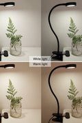 New Clip - On Reading and Desk Light – Model 729CLDC - with | Sold by Uncle Wiener's Wholesale