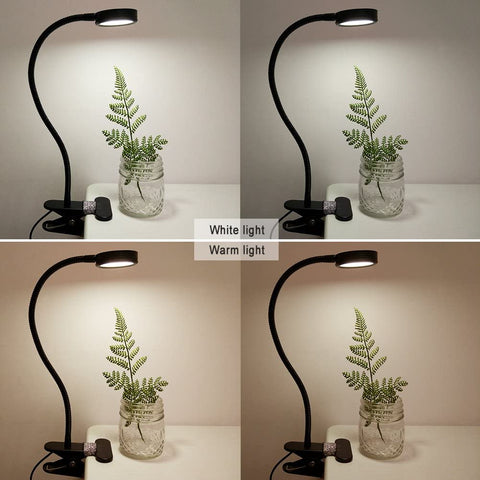 New Clip - On Reading and Desk Light – Model 729CLDC - with | Sold by Uncle Wiener's Wholesale