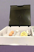 DELUXE 36 EGG INCUBATOR HATCHER CHICKEN - with | Sold by Uncle Wiener's Wholesale