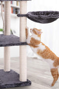 "Deluxe 60 in Multi-Level Cat Tree with Scratching Posts CT002DG"

"Gray Multi-Level Cat Tower with Hideaways and Scratching Posts"

"Durable Cat Playhouse with Soft Fabric and Sisal Posts"
