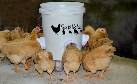 "DIY Chicken Feeder Kit with Rainproof Poultry Ports"

"4 Pack Poultry Feeder Ports with Hole Saw for Outdoor Feeding"

"PVC Gravity Chicken Feeder System for Backyard Coops"

"Easy Install Chicken Feeder Ports for Buckets and Barrels"

"Rainproof Outdoor Chicken Feeder Setup Kit"