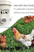 "DIY Chicken Feeder Kit with Rainproof Poultry Ports"

"4 Pack Poultry Feeder Ports with Hole Saw for Outdoor Feeding"

"PVC Gravity Chicken Feeder System for Backyard Coops"

"Easy Install Chicken Feeder Ports for Buckets and Barrels"

"Rainproof Outdoor Chicken Feeder Setup Kit"