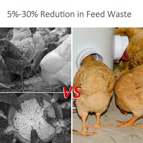 "DIY Chicken Feeder Kit with Rainproof Poultry Ports"

"4 Pack Poultry Feeder Ports with Hole Saw for Outdoor Feeding"

"PVC Gravity Chicken Feeder System for Backyard Coops"

"Easy Install Chicken Feeder Ports for Buckets and Barrels"

"Rainproof Outdoor Chicken Feeder Setup Kit"