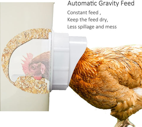 "DIY Chicken Feeder Kit with Rainproof Poultry Ports"

"4 Pack Poultry Feeder Ports with Hole Saw for Outdoor Feeding"

"PVC Gravity Chicken Feeder System for Backyard Coops"

"Easy Install Chicken Feeder Ports for Buckets and Barrels"

"Rainproof Outdoor Chicken Feeder Setup Kit"