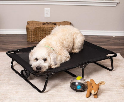 Dog resting on black elevated mesh cot
Foldable raised pet bed for outdoor travel
Side view of elevated dog cot with mesh
Cat lying on raised portable pet bed
Folded compact dog bed for easy storage