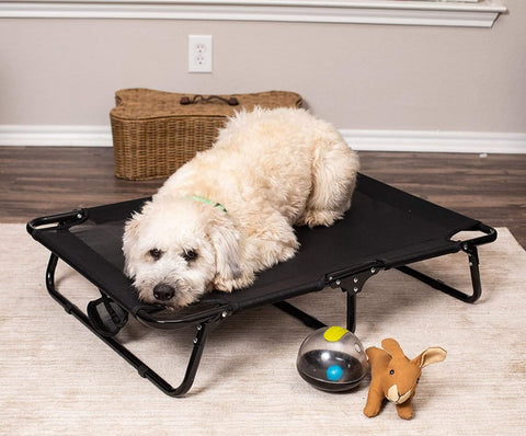 Dog resting on black elevated mesh cot
Foldable raised pet bed for outdoor travel
Side view of elevated dog cot with mesh
Cat lying on raised portable pet bed
Folded compact dog bed for easy storage
