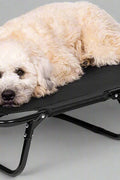 Dog resting on black elevated mesh cot
Foldable raised pet bed for outdoor travel
Side view of elevated dog cot with mesh
Cat lying on raised portable pet bed
Folded compact dog bed for easy storage