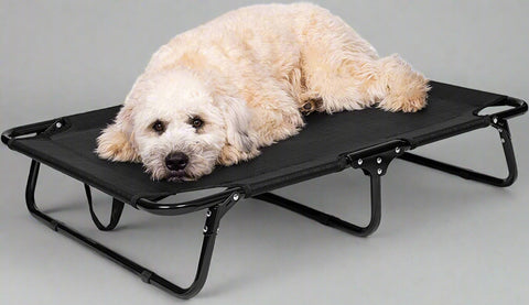 Dog resting on black elevated mesh cot
Foldable raised pet bed for outdoor travel
Side view of elevated dog cot with mesh
Cat lying on raised portable pet bed
Folded compact dog bed for easy storage