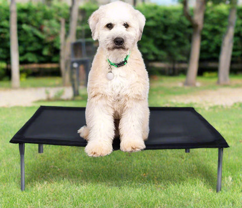 Dog resting on black elevated mesh cot
Foldable raised pet bed for outdoor travel
Side view of elevated dog cot with mesh
Cat lying on raised portable pet bed
Folded compact dog bed for easy storage