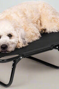 Dog resting on black elevated mesh cot
Foldable raised pet bed for outdoor travel
Side view of elevated dog cot with mesh
Cat lying on raised portable pet bed
Folded compact dog bed for easy storage