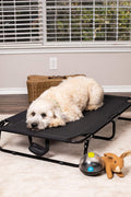 Dog resting on black elevated mesh cot
Foldable raised pet bed for outdoor travel
Side view of elevated dog cot with mesh
Cat lying on raised portable pet bed
Folded compact dog bed for easy storage