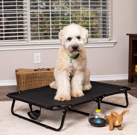 Dog resting on black elevated mesh cot
Foldable raised pet bed for outdoor travel
Side view of elevated dog cot with mesh
Cat lying on raised portable pet bed
Folded compact dog bed for easy storage