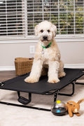 Dog resting on black elevated mesh cot
Foldable raised pet bed for outdoor travel
Side view of elevated dog cot with mesh
Cat lying on raised portable pet bed
Folded compact dog bed for easy storage