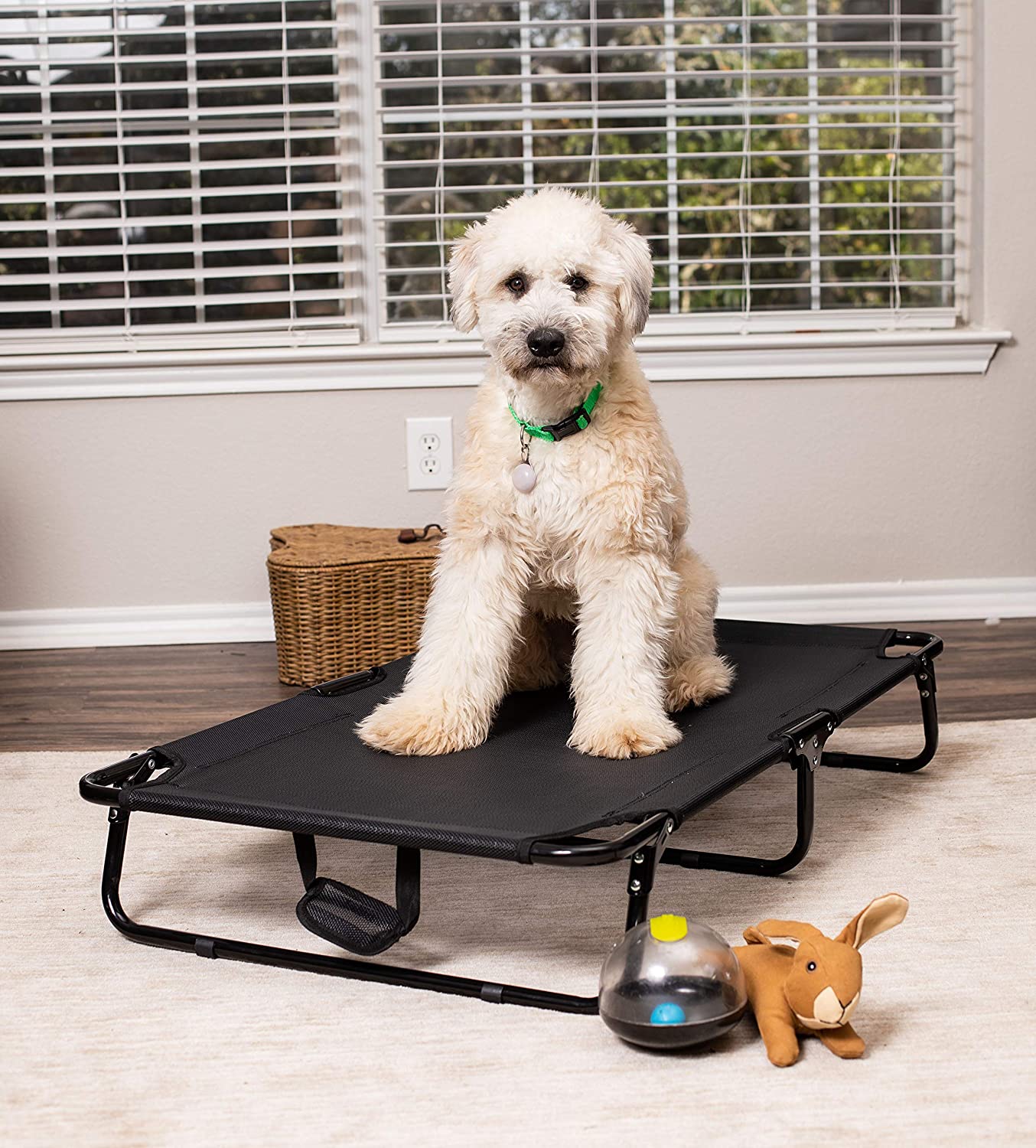 Dog resting on black elevated mesh cot
Foldable raised pet bed for outdoor travel
Side view of elevated dog cot with mesh
Cat lying on raised portable pet bed
Folded compact dog bed for easy storage