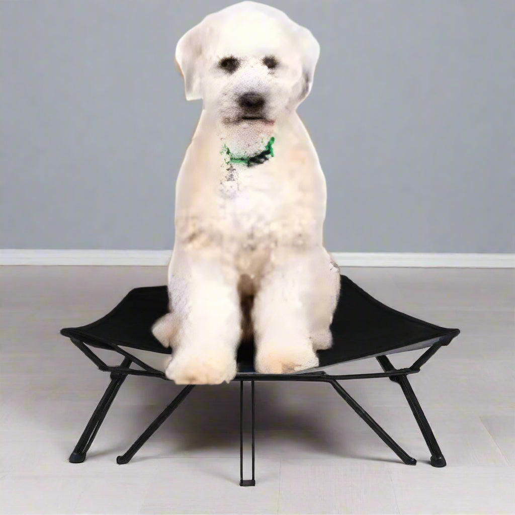 Dog resting on black elevated mesh cot
Foldable raised pet bed for outdoor travel
Side view of elevated dog cot with mesh
Cat lying on raised portable pet bed
Folded compact dog bed for easy storage
